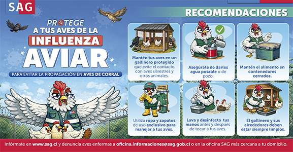 Recomendaciones Protege a tus aves de la IA 2026