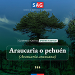 Bosques_1