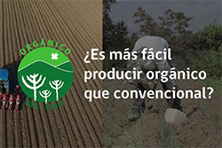 ¿Es más fácil producir orgánico que convencional?