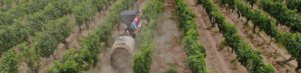 banner plaguicidas abeja