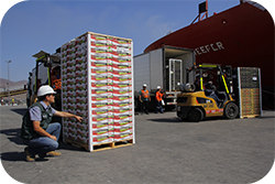 Paneles Estadísticos de Exportaciones Silvoagrícolas