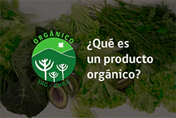 ¿Que es un producto organico?