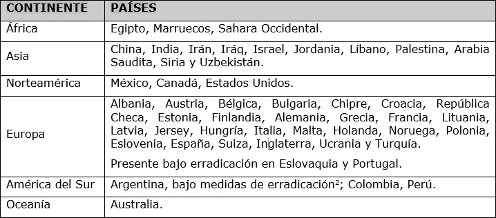 tabla tomato