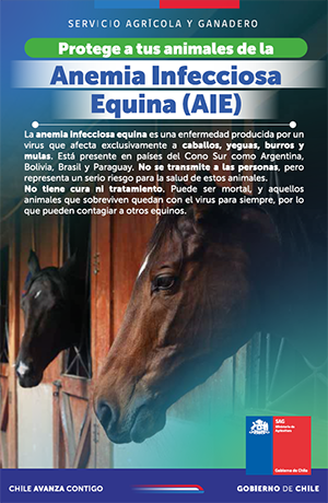 Volante_AIE