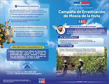 Díptico mosca 