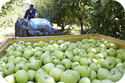 Agrícola - Exportaciones