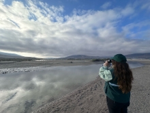 SAG confirma primer caso de influenza aviar en ave silvestre de la región de Atacama