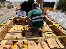 SAG y fiscalización fronteriza: más de 120 camiones con productos de riego sanitario interceptados a la fecha