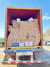 Con portal escáner SAG y Aduanas descubren contrabando de 400 mil huevos en la frontera con Bolivia 