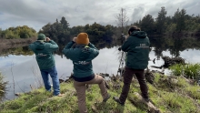 SAG Biobío caracteriza avifauna silvestre en cuerpos de agua cercanos a planteles industriales de aves de postura