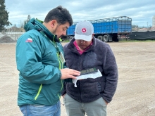 SAG refuerza llamado a cumplir las exigencias de trazabilidad y bienestar animal durante Fiestas Patrias