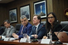 Chile y México acordaron la apertura de mercado para las naranjas chilenas