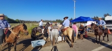 SAG y COLMEVET llaman a cuidar el bienestar de los caballos en la procesión de Lo Vásquez