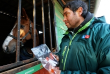 Muestreo por anemia infecciosa equina