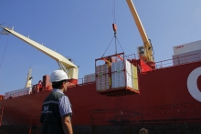 Chile y México dan un paso histórico y fortalecen su comercio bilateral con certificación zoosanitaria 100% electrónica