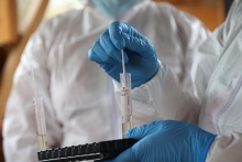 SAG autosuspende certificación de exportaciones avícolas tras confirmación de plantel comercial positivo a influenza aviar