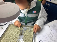 SAG Biobío realiza taller sobre importación de granos 