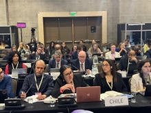 Codex en Chile