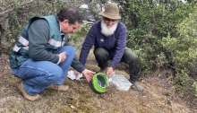 SAG realiza exitosa liberación de ejemplares de fauna silvestre