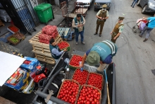 Gobierno refuerza protección sanitaria de la agricultura nacional con sanciones de cárcel por ingreso de plagas en Proyecto de Ley