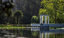 Jardin botanico