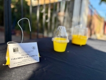 SAG informa campaña de control y erradicación de mosca de la fruta en la provincia de Chacabuco