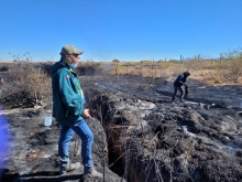 SAG realiza evaluación en terreno tras incendio forestal que amenaza hábitat de la Ranita del Loa