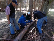 personal del Servicio Agrícola y Ganadero (SAG), realizó una capacitación en la localidad de Cerro Castillo, con el fin de traspasar los conocimientos necesarios a los brigadistas que a contar de esta temporada comenzarán a realizar labores de vigilancia forestal, para detectar de manera temprana la posible presencia de Sirex noctilio o avispa taladradora de la madera de pino