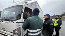 SAG Biobío decomisa más de 8 mil 500 kilos de papas durante fiscalizaciones en la provincia de Arauco
