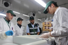 Autoridades del Agro de Biobío visitan Sitio de Inspección Fitosanitaria de Cabrero